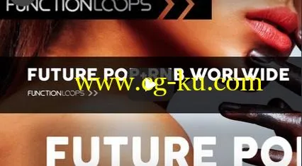 Function Loops Future Pop And RnB Worldwide WAV MiDi VSTi PRESETS-DISCOVER的图片2