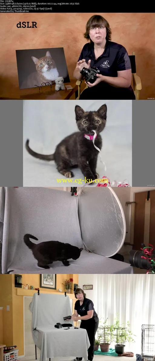 Cat Photography 101的图片1