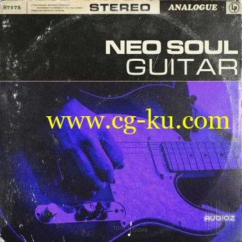Touch Loops Neo Soul Guitars WAV的图片1
