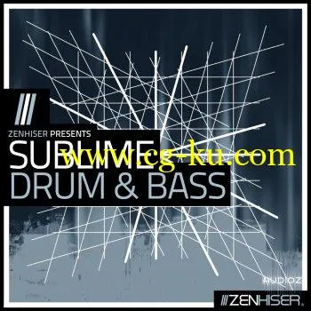 Zenhiser Sublime Drum & Bass WAV MIDI-DECiBEL的图片1