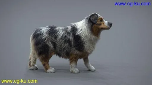 The Gnomon Workshop – Realistic Dog Grooming for Production with XGen with Jordan Soler的图片1