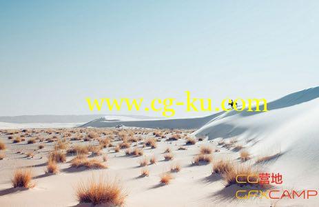 PS修图调色套装插件 Alien Skin Software Plug-ins Bundle Win的图片1