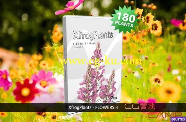 植物花朵盆栽3D模型 Xfrog Plants – Flowers 3的图片1