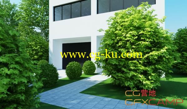 花园鲜花植物3D模型 CGAxis Models Volume 19 – Garden Plants的图片1