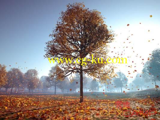 C4D秋天树木环境场景建模渲染教程 Helloluxx – learn. Cinema 4D Tutorial  Natural Environments的图片1