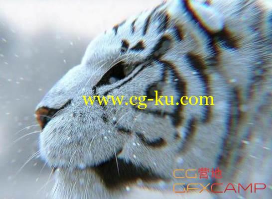 PS多功能光影特效插件 RandomControl ArionFX v3.0.4 for Photoshop的图片1