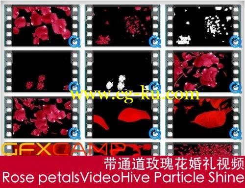 带通道玫瑰花婚礼视频 Alpha channel footage HD – Rose petals的图片2