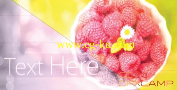 AE模板-照片翻动切换 VideoHive Elegant Slide Show的图片1