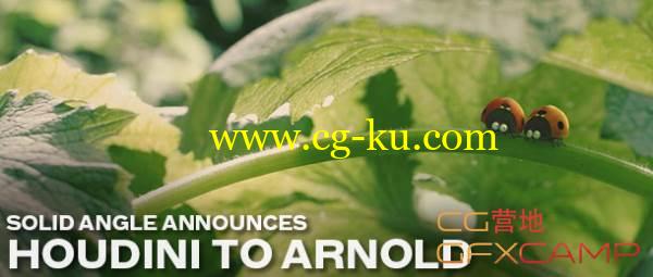 HtoA渲染器Houdini插件 SolidAngle HtoA 1.3.1 + Arnold 4.2.5.1 Win x64的图片1