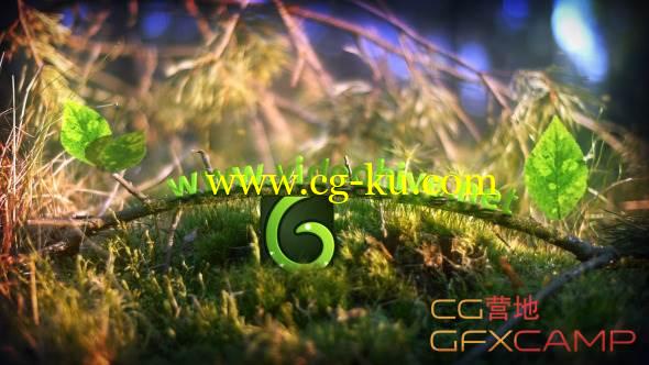 AE模板-草地树枝树叶Logo文字生长 VideoHive Spring Leaves Logo的图片1
