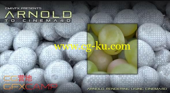 C4D Arnold渲染器使用教程 CmiVFX – Arnold for Cinema 4D的图片1