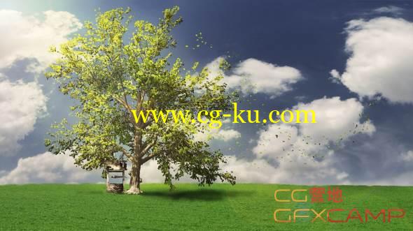 SpeedTree树木制作教程 Digital Tutors – Modeling Realistic Trees with SpeedTree的图片1