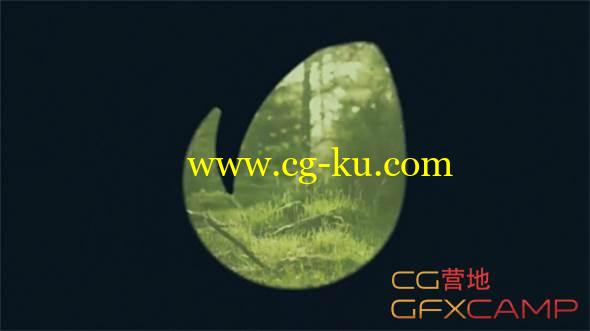 AE模板-单反卡片相机拍摄 VideoHive Photographer Logo的图片1