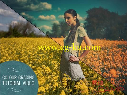 PS商业高级调色教程 Ibarra Photo Colour Grading的图片1