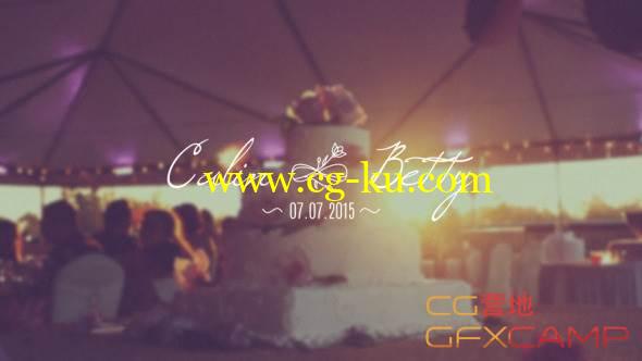 AE模板-30个浪漫婚礼文字标题动画 VideoHive 30 Wedding Titles的图片1