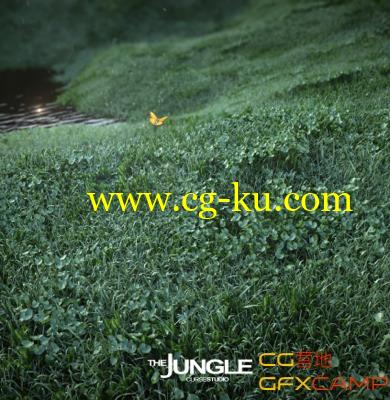 CurseStudio C4D教程合集7G 超逼真Vray渲染技巧的图片7