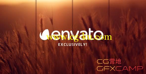 AE模板-清新优雅分屏图片视频展示 VideoHive Elegant Slideshow的图片1