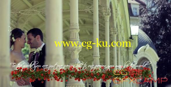 AE模板-花朵婚礼人名字幕条信息展示框 VideoHive Flower Lower Third的图片1