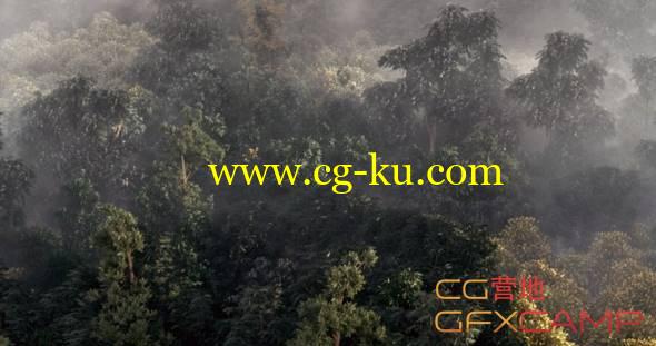 Max俯视热带雨林森林场景制作教程 Digital Tutors – Building a Realistic Aerial Forest Scene in 3ds Max的图片1