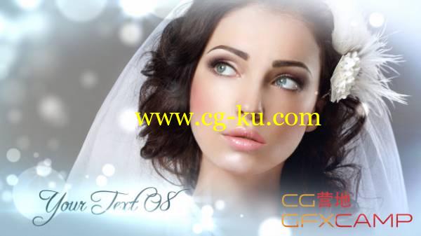 AE模板-梦幻浪漫粒子高雅婚礼包装 VideoHive Wedding Elegance的图片1