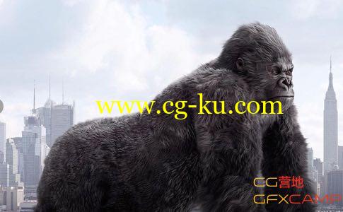 Maya毛发模拟插件 Peregrine Labs Yeti 2.0.4 Maya 2015-2016 Win/Mac的图片1