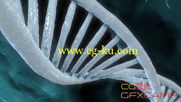 红巨星Tao制作DNA链教程 After Effects DNA Strands Trapcode Tao Tutorial的图片1