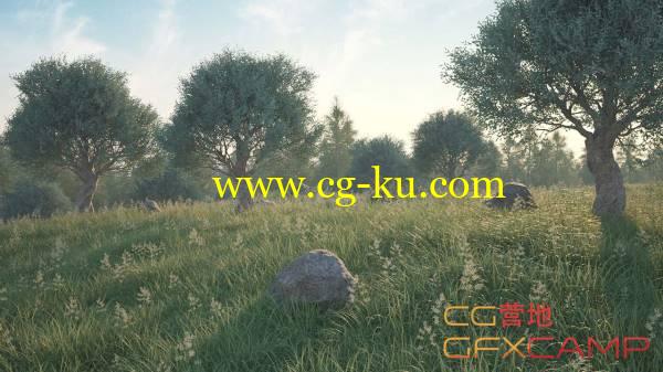 C4D植物树木草地石头生成制作插件 3DQUAKERS - Forester v1.1.0 - C4D R14/R15/R16/R17 Win的图片1