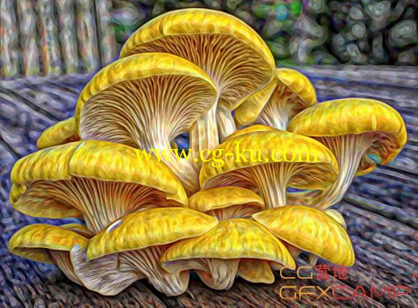 PS抽象手绘卡通效果插件 Redfield Unobtanium v1.01 for Photoshop Win破解版的图片1