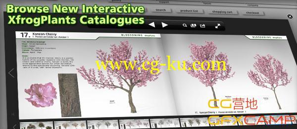 C4D植物生长制作插件 Greenworks XFrog v5.4 For Cinema 4D R17的图片1