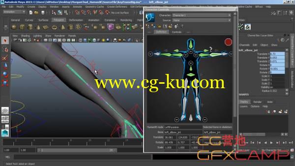 Maya人物IK绑定教程 3DMotive - Introduction To Human IK的图片1