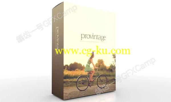 Mac FCPX插件:30组陈旧复古回忆怀旧调色预设 PROVINTAGE的图片1