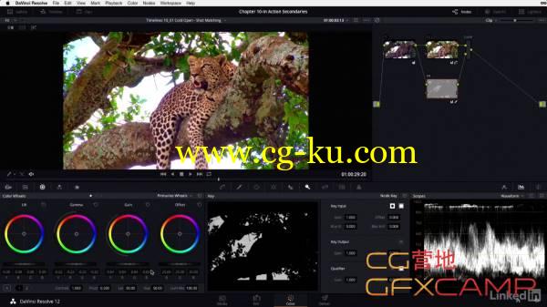 达芬奇12高级调色教程 Lynda - DaVinci Resolve 12 Advanced Color Grading的图片1