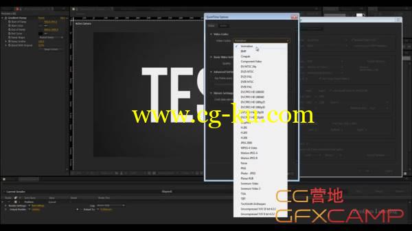 AE渲染设置格式编码选择教程 After Effects Render Settings Properly Explained的图片1