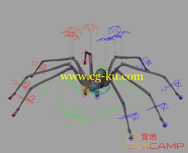 Maya快速绑定插件 Rapid Rig: Modular V1.7.1 +  Rapid Rig: Advanced V2.3.1 - Procedural Auto Rig for Maya (maya script) Win/Mac的图片1