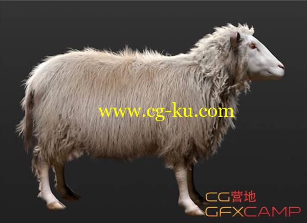 3DS MAX毛发农场模拟制作渲染插件 Hair Farm Professional 2.4.1.161 3ds Max 2016 Win64的图片1