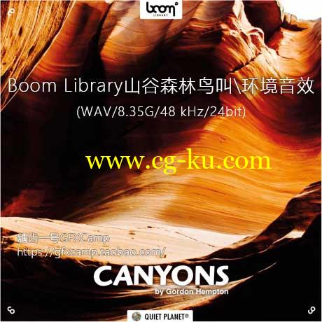 Boom Library 山谷森林小溪鸟叫鸟鸣安静自然环境无损音效的图片1