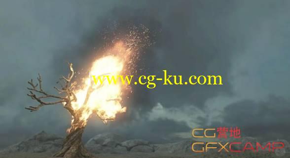 树木燃烧火焰流体模拟Maya教程 Pluralsight – Simulating a Burning Tree in Maya的图片1