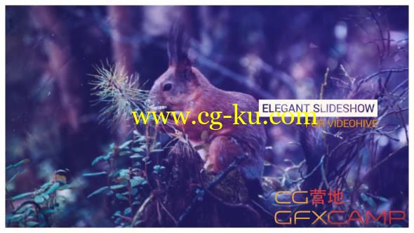 AE模板-简洁幻灯片图片切换片头 Elegant Slideshow的图片1