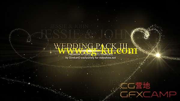 AE模板-粒子线条拖尾爱心浪漫婚礼相册片头 Wedding Pack III的图片1
