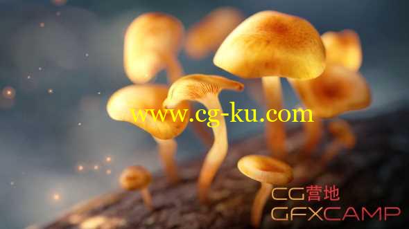 Blender灯光烘焙教程(含工程) Lighting and Baking Workflow for Blazing Fast Renders Tutorial的图片1