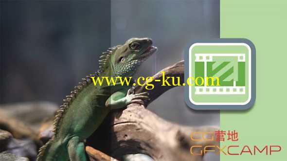 Pr Luts预设调色教程 Lynda – Premiere Pro Guru: LUTs and Look Files的图片1