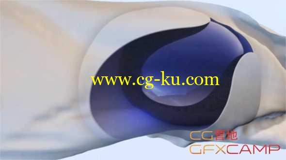C4D制作循环旗帜飘动教程 Cineversity – Creating a Seamless Looping Flag Animation的图片1