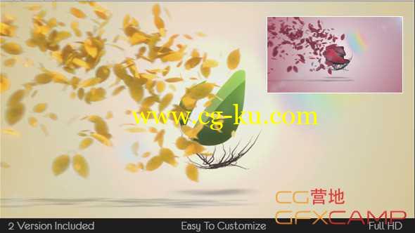 AE模板-树枝树叶生长飘散Logo展示 Flying Leaves Logo Reveal的图片1