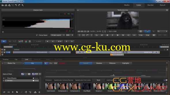 SG调色入门基础教程 Pluralsight – SpeedGrade CC Fundamentals的图片1