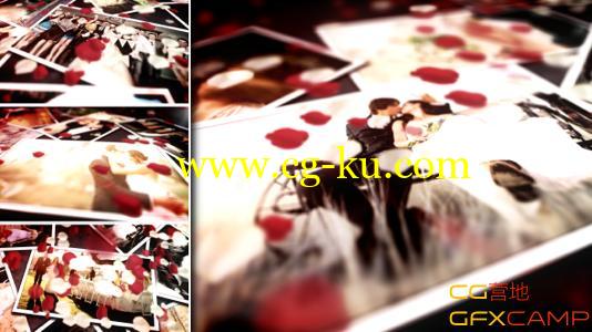 玫瑰花婚礼照片展示 VideoHive Floral Wedding Photos的图片1