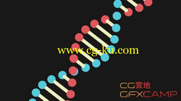 扁平化三维DNA链旋转动画AE教程 After Effects How to Fake a 3D DNA Strand using Shape Layers Tutorial的图片1