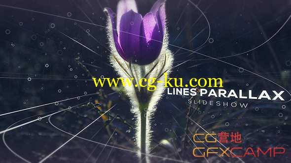 AE模板-三维线条视差图片展示 Lines Parallax Slideshow的图片1