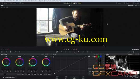 达芬奇调色基础教程 Lynda - DaVinci Resolve Guru Color Correcting Log, Raw, and Flat Footage的图片1