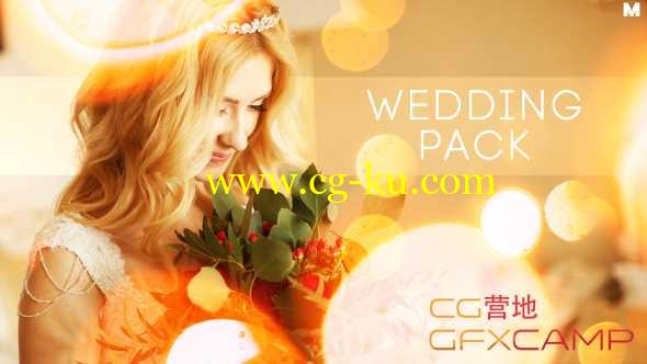 AE模板-温馨浪漫灯光背景婚礼片头包装 Wedding Titles Slideshow Light Leaks的图片1