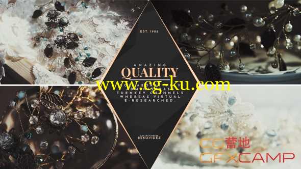 AE模板-奢侈品简洁分屏商品介绍展示 Premium Product Slides的图片1